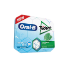 Trident Oral B Spearmint 17g