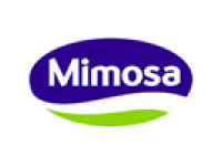 Mimosa Mimosa